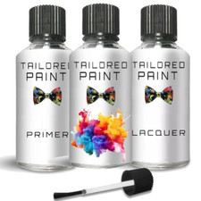 For FIAT / LANCIA 309B VERDE